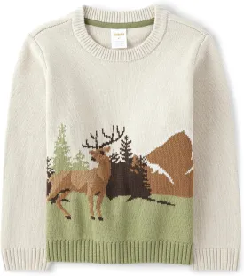Gymboree Boys' and Toddler Long Sleeve Crew Neck Pullover Sweater