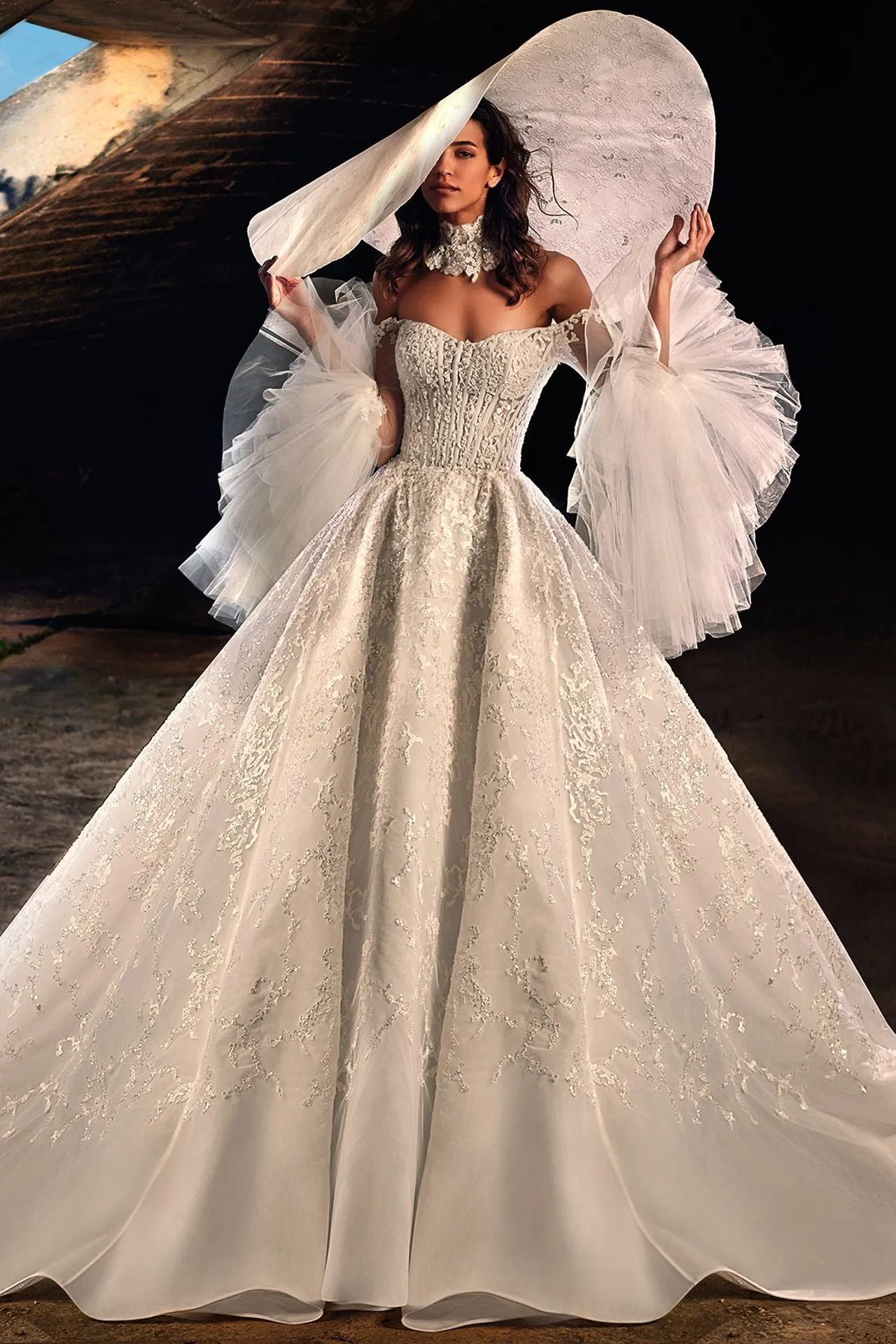 Wedding Gown with Statement Sleeves and Veil