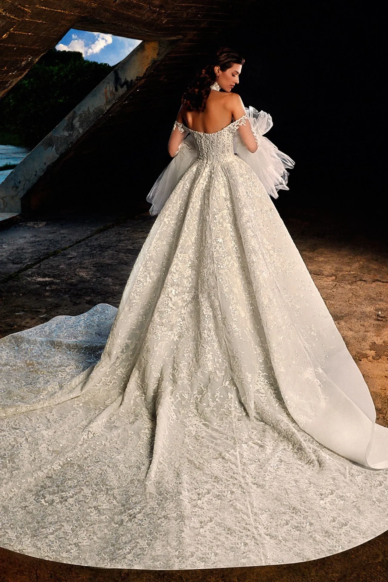 Wedding Gown with Statement Sleeves and Veil